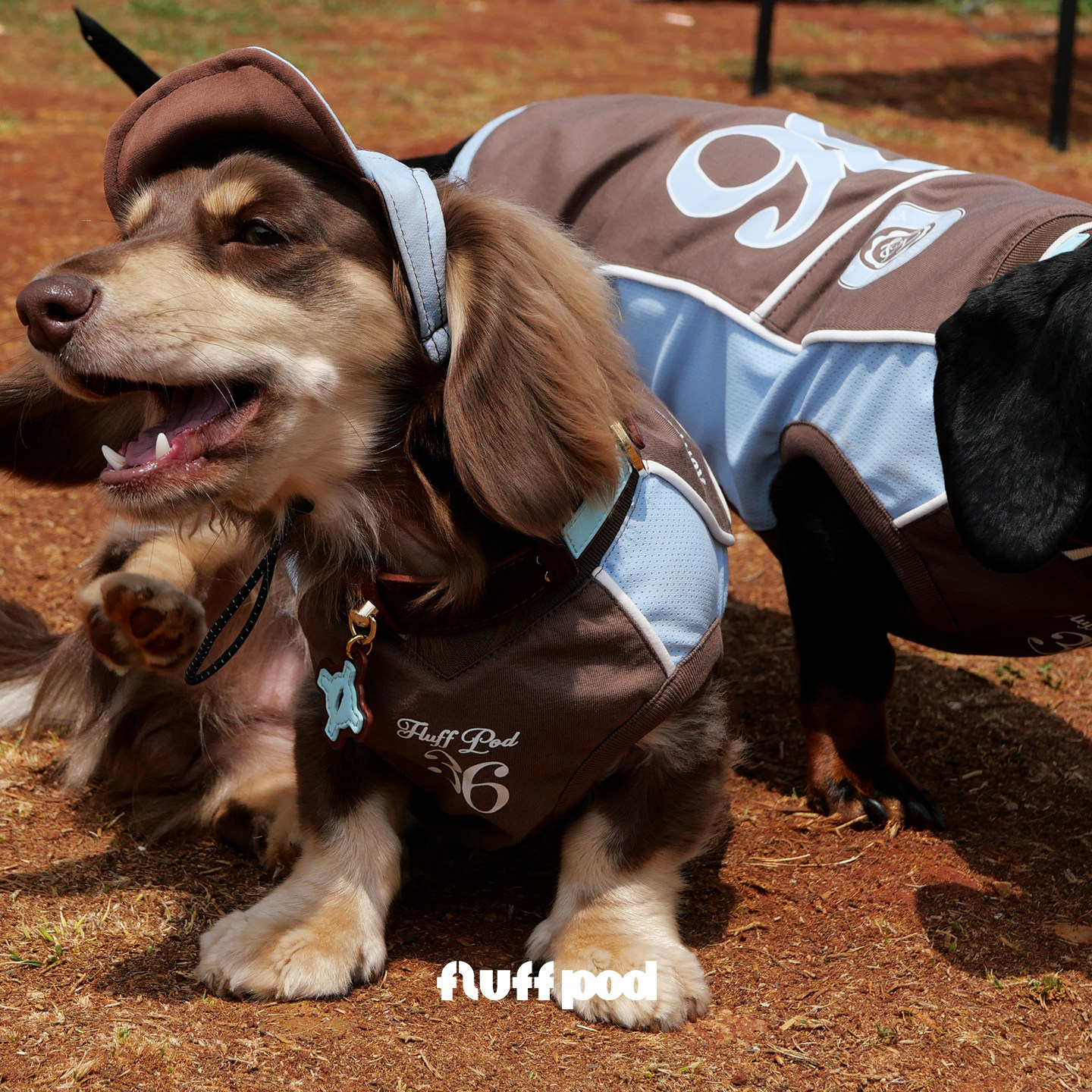 fluff pod抚拍腊肠犬运动球衣狗狗抑菌凉感背心雪纳瑞西高地比熊