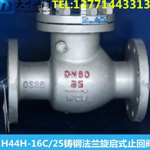 H44H-16C 铸钢法兰旋启式止回阀DN25 32 40 50 65 80 100 150 200