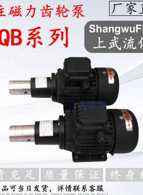 8CQB-3齿轮泵/10CQB-5计量泵/15CQB-10磁力泵/20CQB-15不锈钢泵