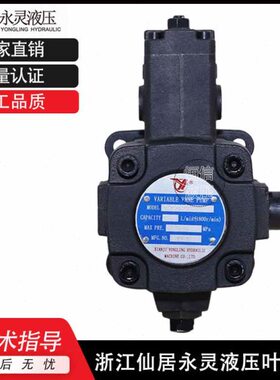 22仙V20V-CV-30P/P20-居永灵Y-油泵40PP30/--叶片泵2V40L35--270/