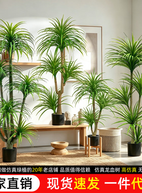龙血树仿真绿植大型仿生植物家居盆栽落地批发假花树摆件装饰造景