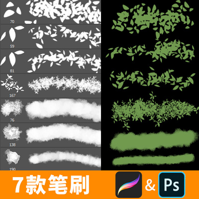 procreate笔刷ps笔刷类观森林植物手绘树叶景自然草树叶草地B438