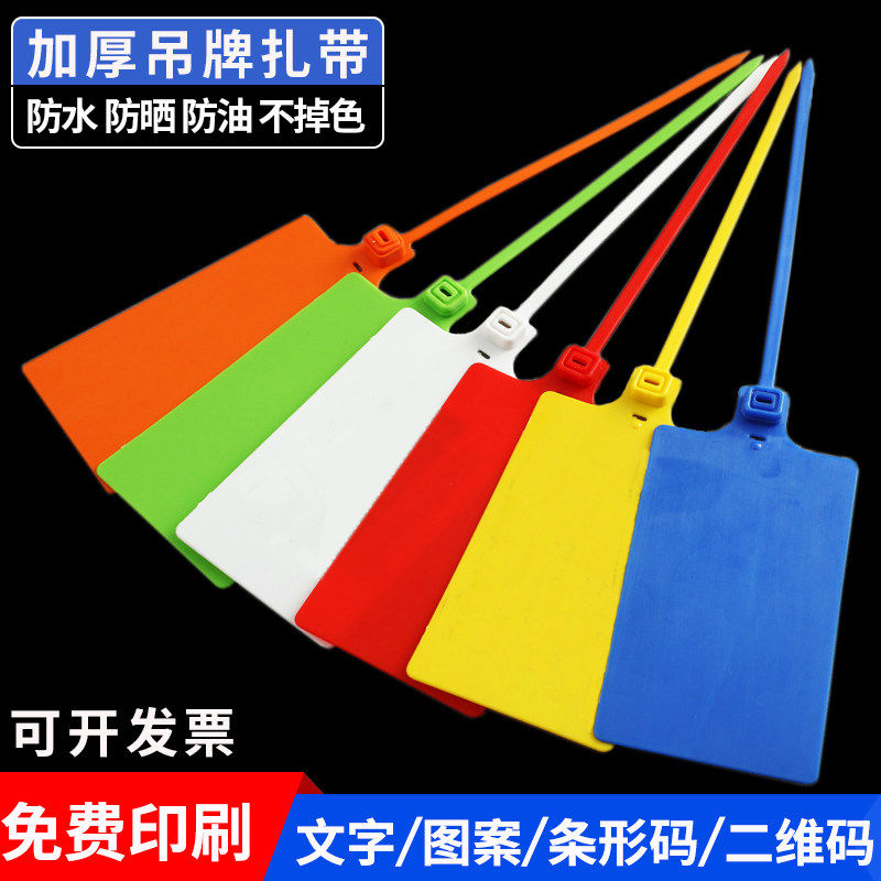 一次性塑料封条大号标牌扎带物流吊牌挂签标识牌电缆标签牌定制,文具电教/文化用品/商务用品,吊牌,淘宝优惠券,粉丝福利购,淘宝优惠卷