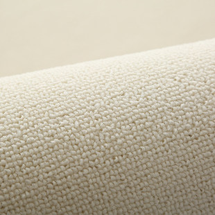 素色地毯办公室满铺大面积水泥地直接铺直播间地垫纯色拍照背景毯