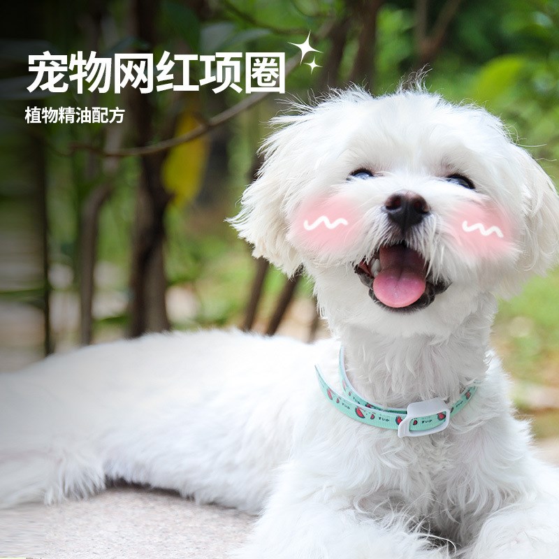 聪诺比 狗狗驱虫项圈猫咪驱蚊猫圈除蚤去防虱子螨虫除跳蚤药颈圈