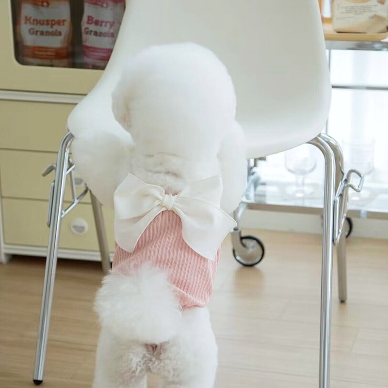 春夏季宠物蝴蝶结吊带泰迪比熊博美猫咪约克夏贵宾狗狗小型犬衣服