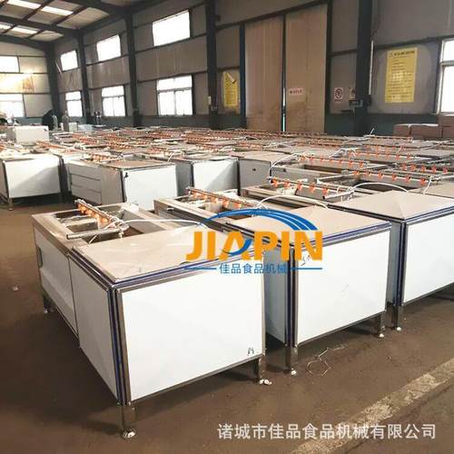 洋葱圆葱去皮清洗机 毛刷清洗机根茎蔬菜削皮机