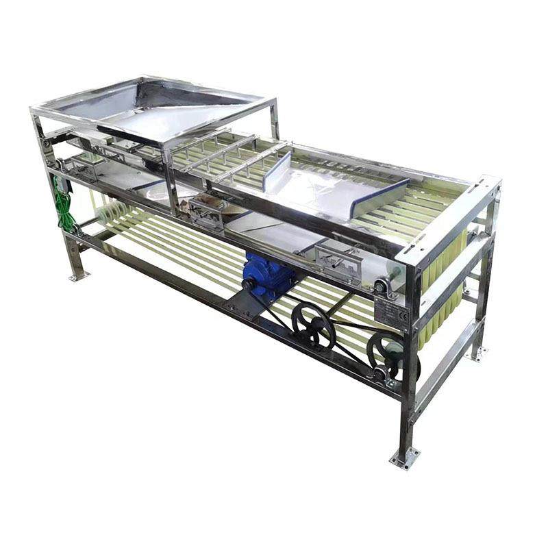 板栗枇杷筛选机 布朗选果机小西红柿分级机 皮带式魔芋种子分选机