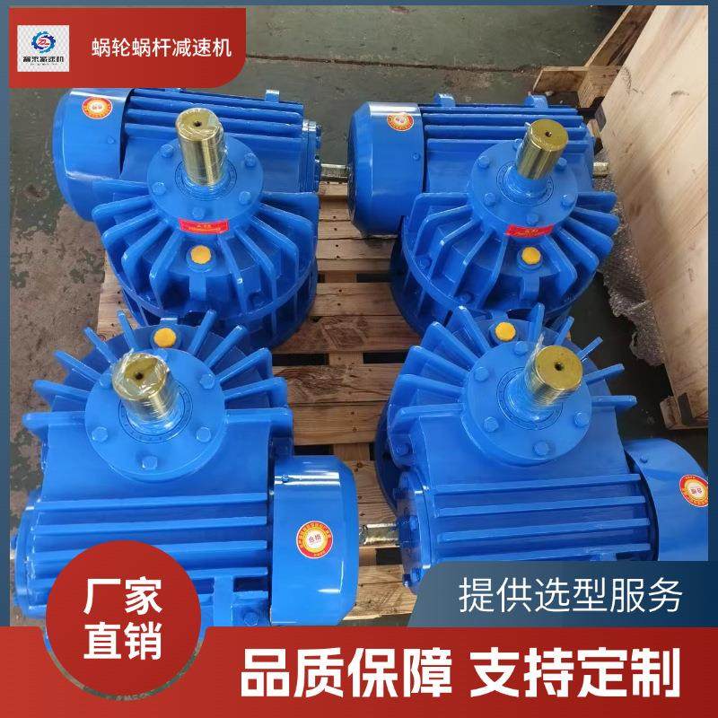 CWS315-60-2F大型蜗轮蜗杆减速器减速机