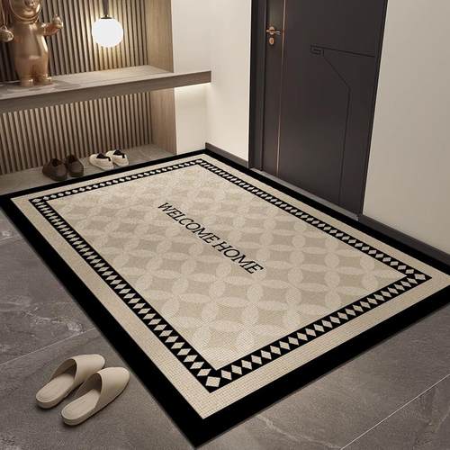 高级感入户地垫进门门垫门口地毯2025新款入门脚垫门外蹭土耐脏