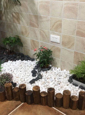 庭院白石子造景店铺装饰小石子阳台花园小石头园艺绿化小白石摆件