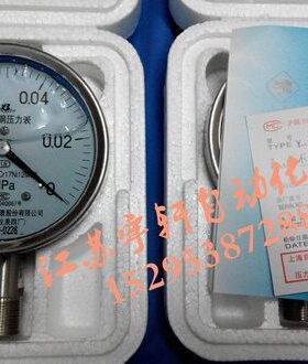-FZ不锈钢四厂真空压力表-上海0化仪表-1MPa防腐.Y-B0耐震010自动