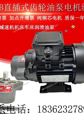 B-/./B齿轮油泵B46K组2.5 /B-Z电机W0.-CJ0W105537B润滑锯床BCBC