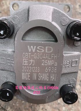 3310齿轮油泵/0-SD1646/CT30/32左旋G301432//右旋 5B3W/