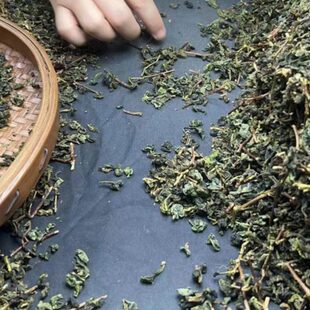 斤 除味 茶加厚原产20袋装包邮清香新茶枝 铁观音茶梗地大容量