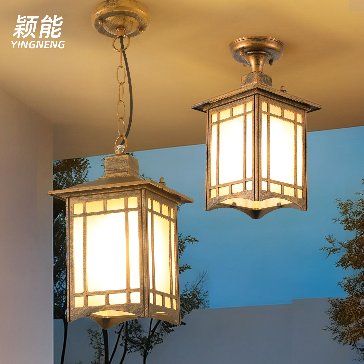 户外吊灯防水新中式庭院灯笼亭子