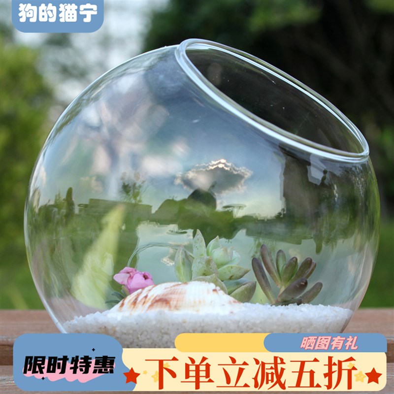 斜口透明玻璃鱼缸生态缸客厅办z公室小型桌面治愈系摆件放松神器