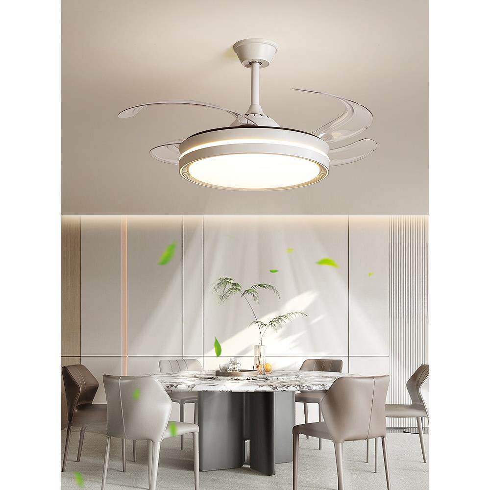带灯风扇灯吊灯家用灯扇一体吊扇灯隐形餐厅卧室主卧2025新款新型