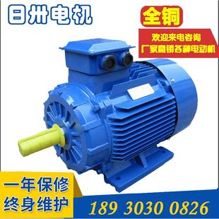 90S 4YE2 4YE3 4YX3 4三相异步交流电动机 90L 供YE4