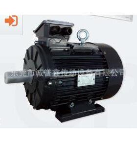 shanghai tenggang电机 TEDAPORT电机 tenggang马达