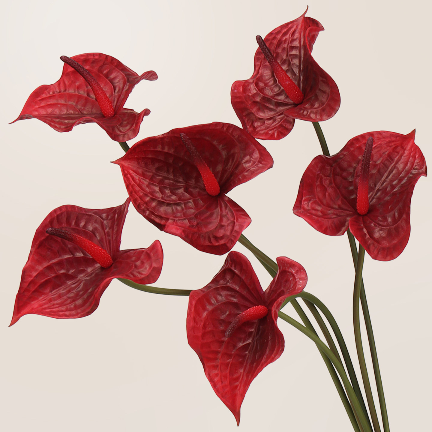 红掌仿真花花艺假花红色火鹤掌插花配材绿掌高级感逼真装饰花造景