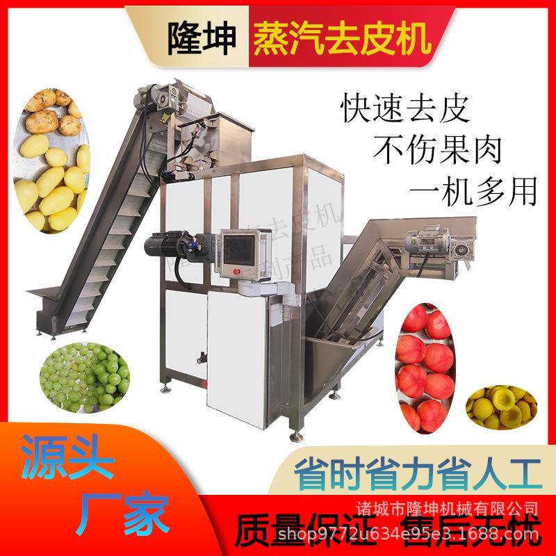 全自动不锈钢土豆削皮机多功能果蔬去皮设备大枣苹果蒸汽去皮机