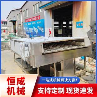 白萝卜毛辊清洗机根茎类山药土豆加工清洗线4通道细毛刷清洗机器