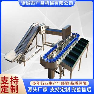重量分选机鸡爪鸡翅分级机厂家 海参分选机转盘式