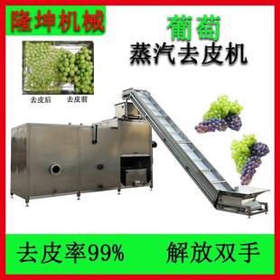 可定制全自动葡萄蒸汽去皮机猕猴桃蒸汽脱皮机地瓜加工去皮设备