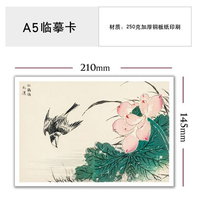 国画临摹卡花鸟名家木板画中国风初学者绘画入门绘画教学全套48幅