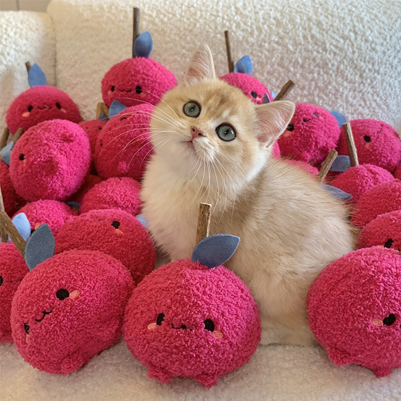 猫咪啃咬磨牙棒猫玩具宠物用品木天蓼猫咪自嗨神器逗猫棒宠物玩具