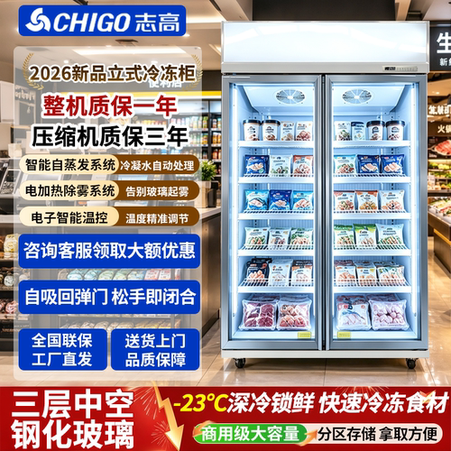 志高超市立式冷冻展示柜冷冻柜低温柜大容量冰柜全屏商用展示柜