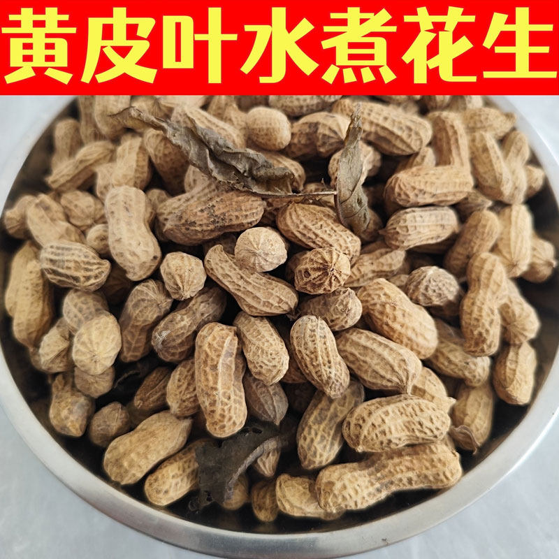 花生黄皮叶水煮咸干白玉肇庆莲塘特产正宗农家散称休闲零食
