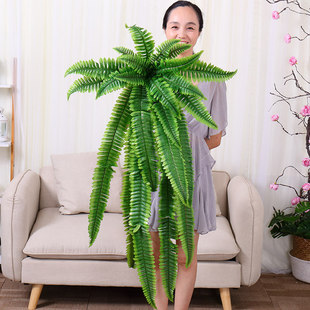 彷真波斯草蕨类绿植大墙面假草室外彷生造景植物树叶装饰塑料叶子
