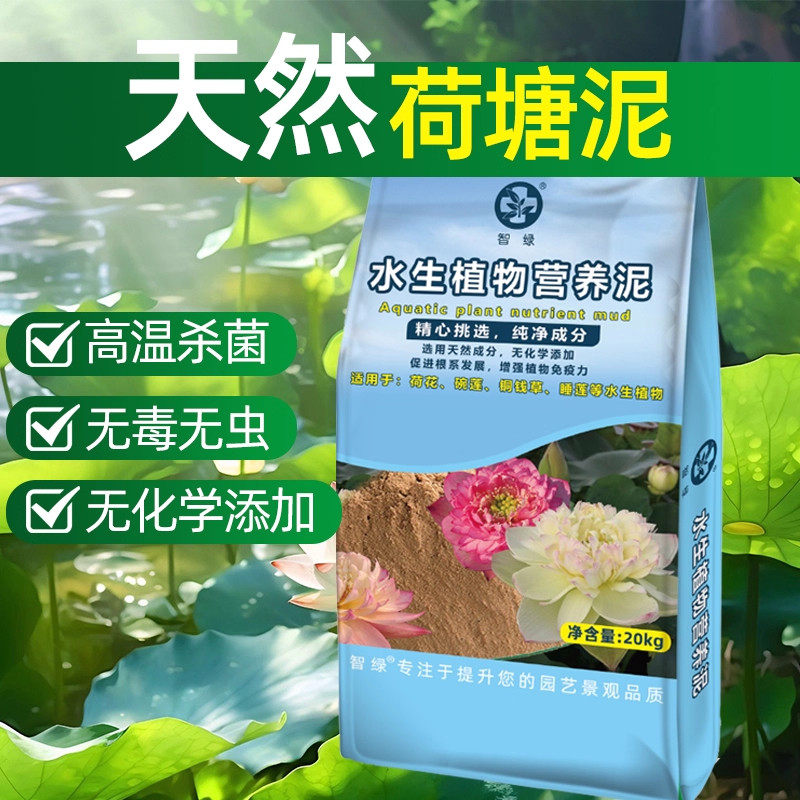 天然荷塘泥泥土荷花碗莲