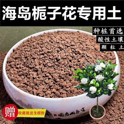 海岛栀子花土土天然风化土风化石赤玉土盆景土颗粒土种生桩土