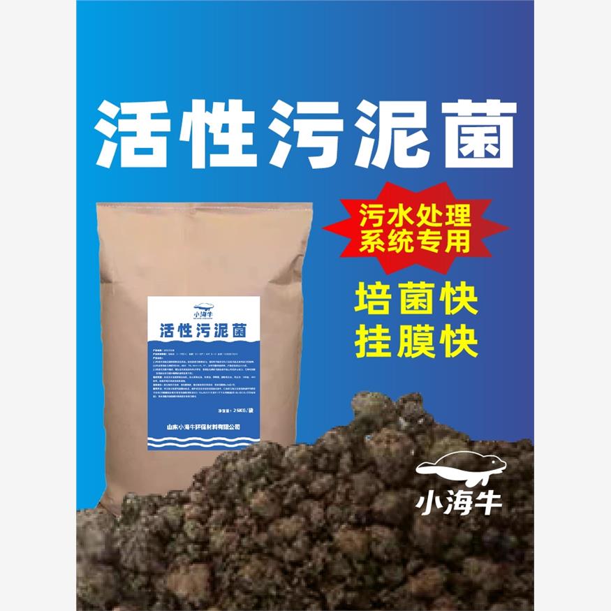 活性污泥菌种生水处理淤