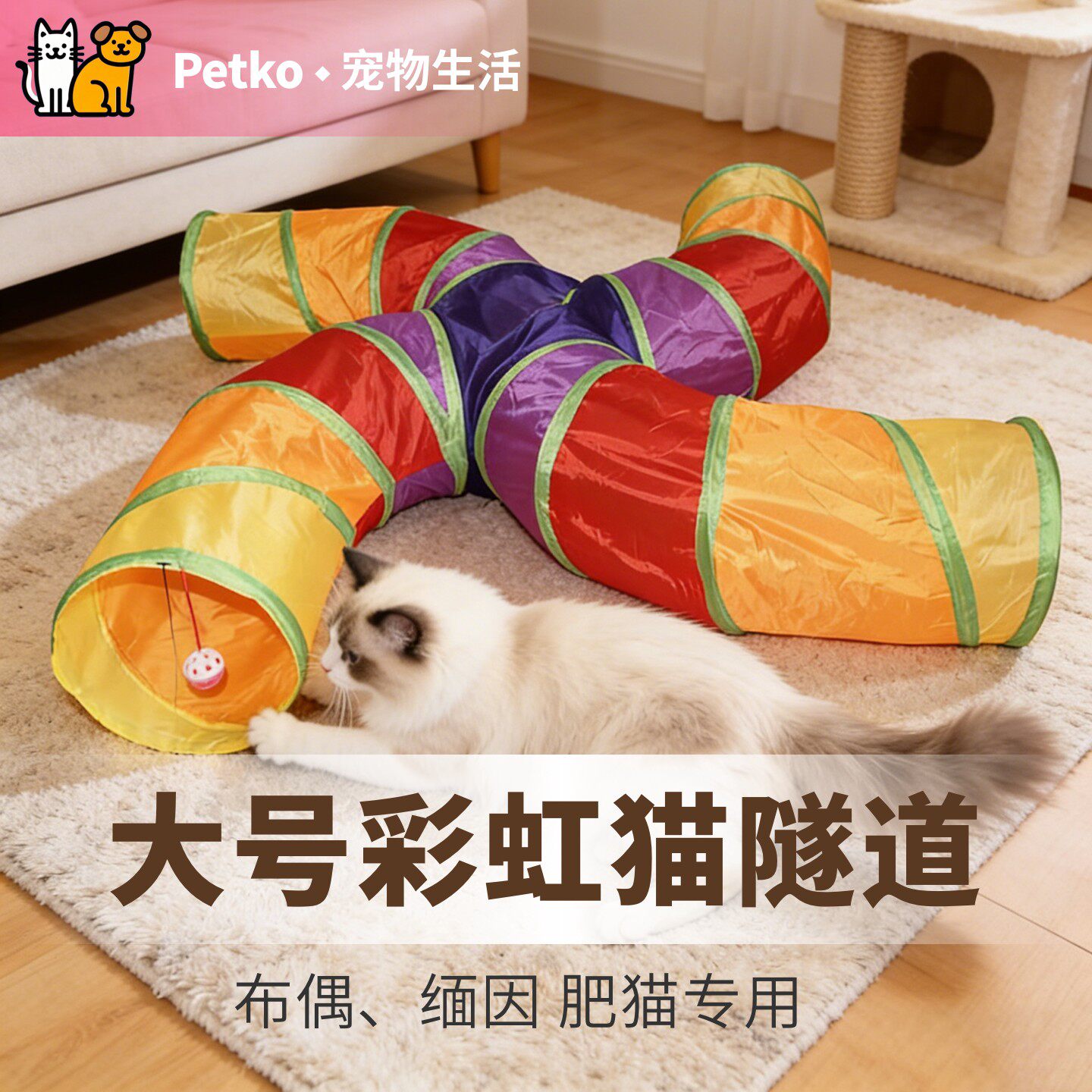猫隧道新款布偶缅因大号
