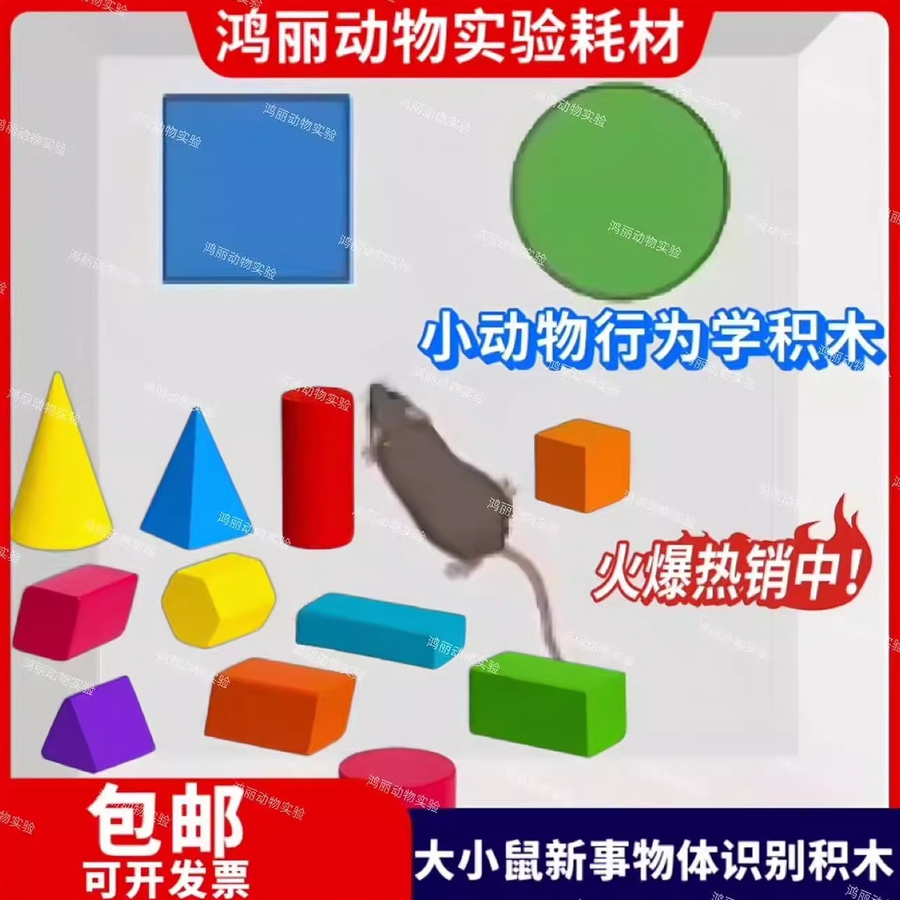 小鼠新物体识别旷场迷宫