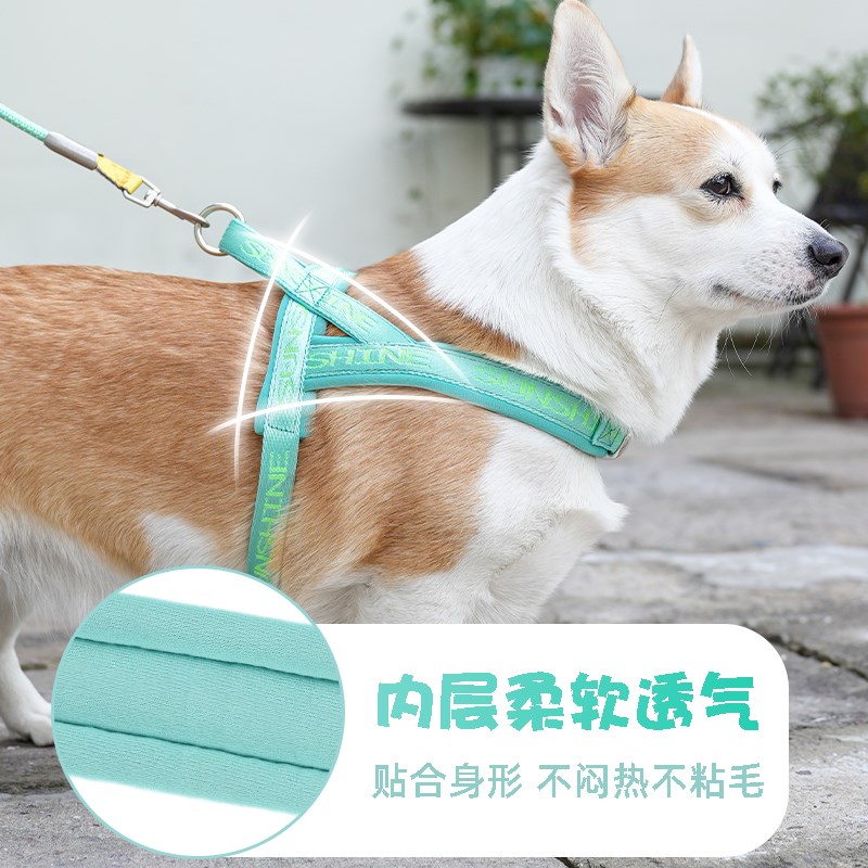 狗狗牵引绳遛狗胸背带可调节大中小型犬柯基比熊马鞍型防爆冲