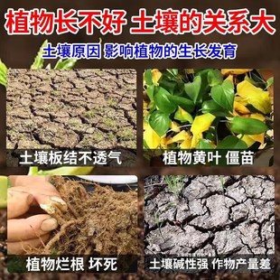 松土精土壤活化剂黑水肥料免深耕防止板结改善疏松土质神器松土剂
