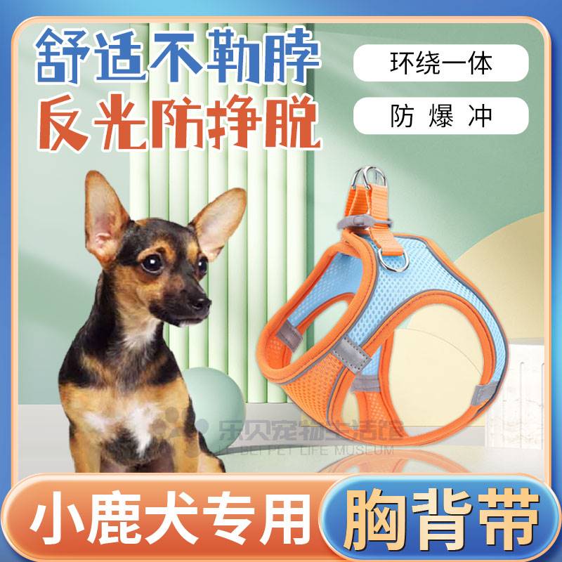 小鹿犬专用狗绳狗炼狗狗胸抱婴袋背心式遛狗牵引绳牵狗绳子栓牵引