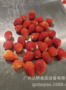 片Q达桥工业型草IGS高速切机片型完整商用中莓D央厨房果干果脯工