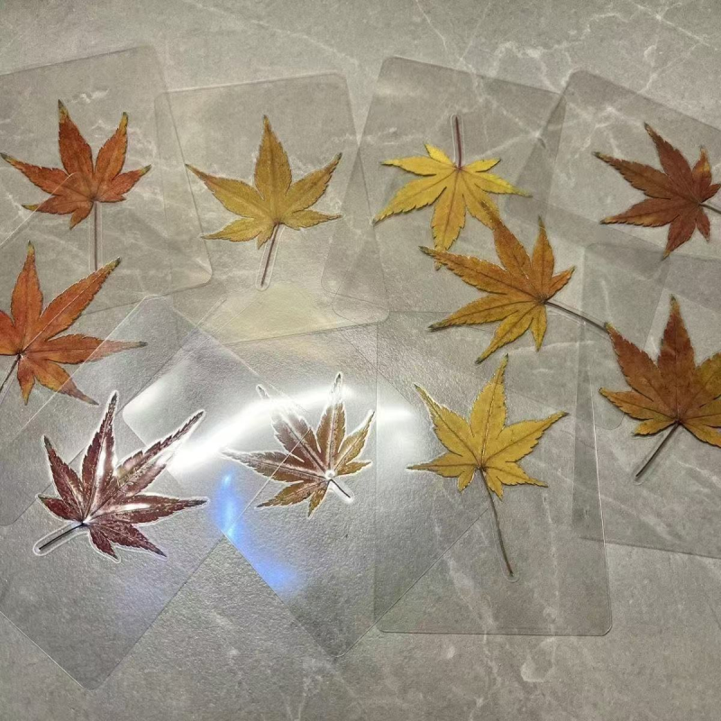 尼泊尔装饰品红枫深秋多彩斑落叶透明塑封压花书签唯美叶子真树叶