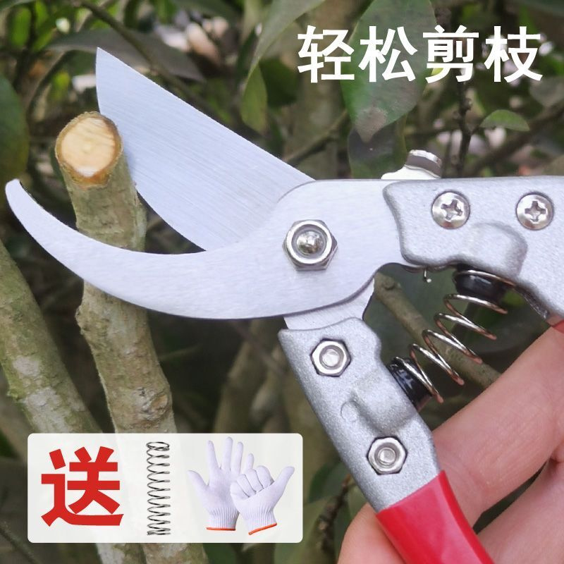 日本钢园艺剪刀树枝修剪多功能花卉园林粗枝工具采摘水果剪子神器