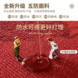 进门地垫轻奢高级感可擦耐脏五防工艺入户门地垫脚垫地毯玄关家用