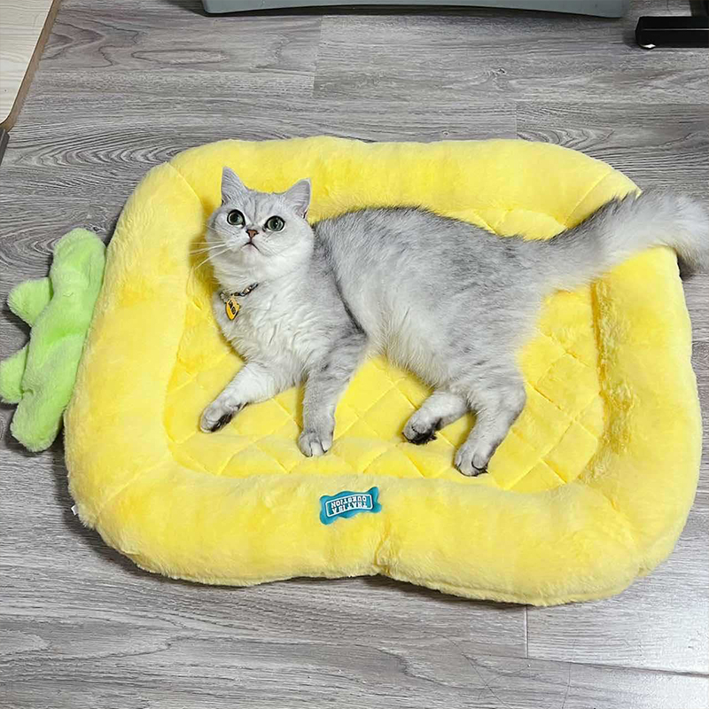 猫垫子睡觉用猫咪睡垫猫窝保暖宠物地垫小型犬狗窝四季通用枕头