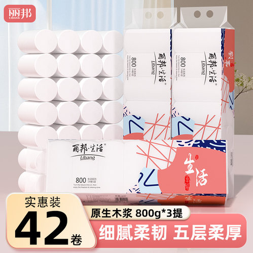 丽邦卫生纸小卷便携厕纸