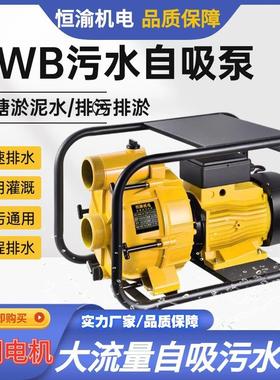 EWB自吸污泥浆泵化粪池池塘淤泥排污泵 2寸/3寸大流量农用离心泵