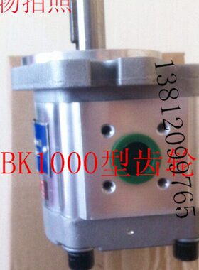 齿轮油泵CBK1004 CBK1006 CBK1008 CBK1010 CBK1012 CBK1016A1FR